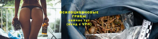 jwh Алексеевка